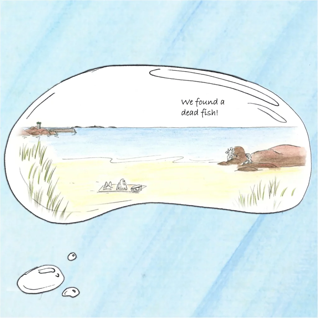 On the beach, two children find a dead fish between the rocks.