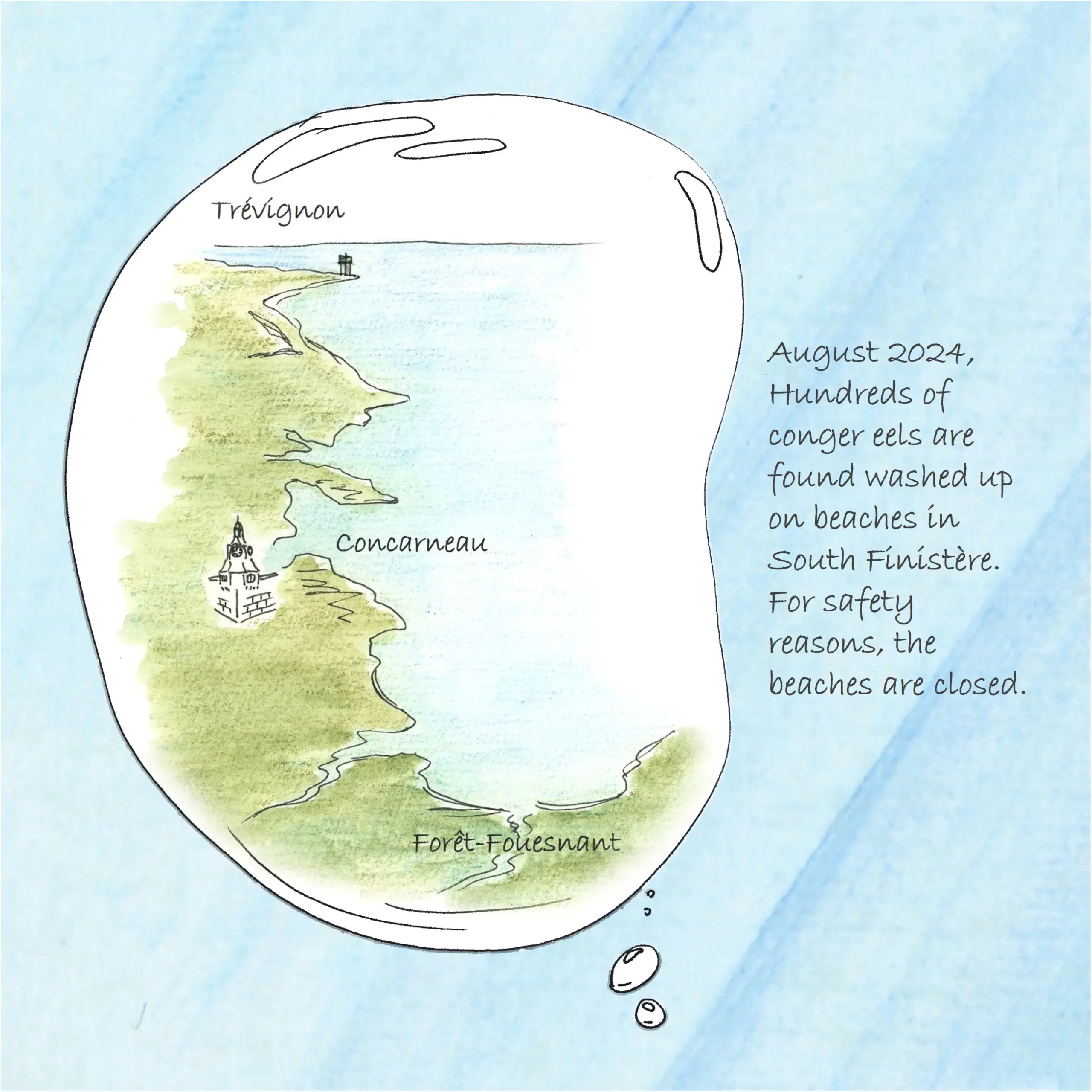 Aerial view of the Breton coastline, text informing about the stranding of hundreds of dead fish.